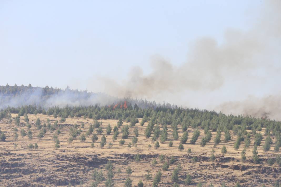 Kahramanmaraş'taki orman yangını kontrol altına alındı 5